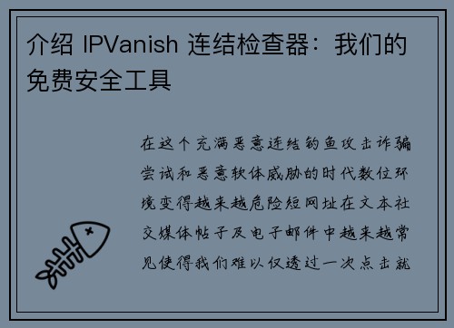 介绍 IPVanish 连结检查器：我们的免费安全工具