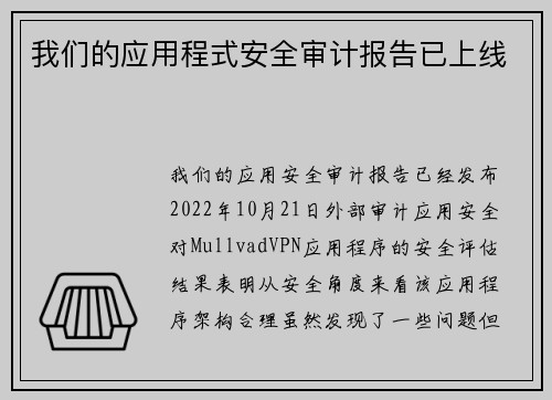 我们的应用程式安全审计报告已上线 